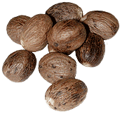 picture of nutmeg